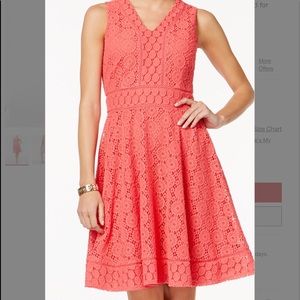 🌺🌺🌺 Lacey Fit and Flare Dress 🌺🌺🌺